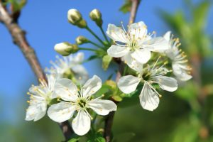 IMG_0844_2