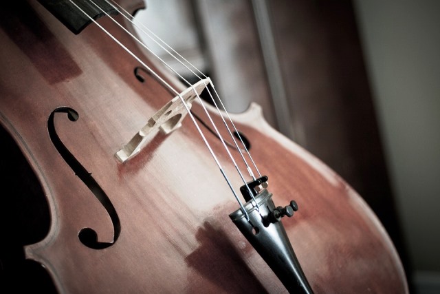 cello-110981_960_720