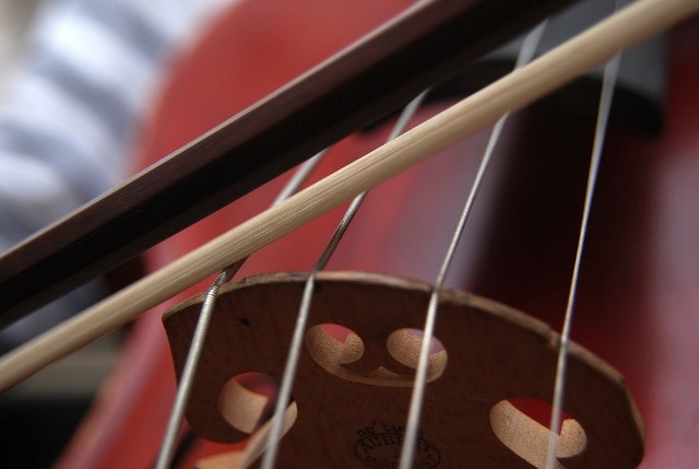 cello-663563_960_720