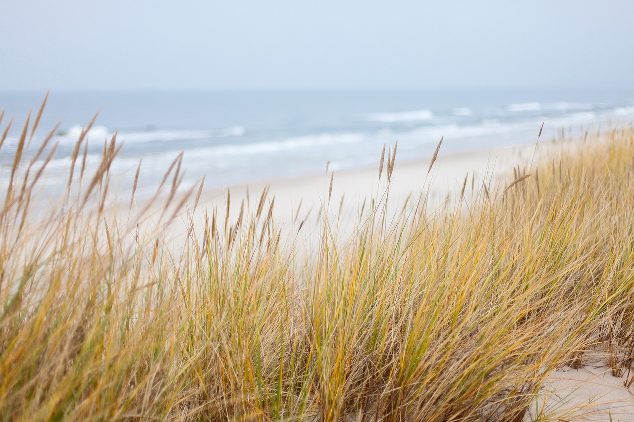 dunes-1936086_1280