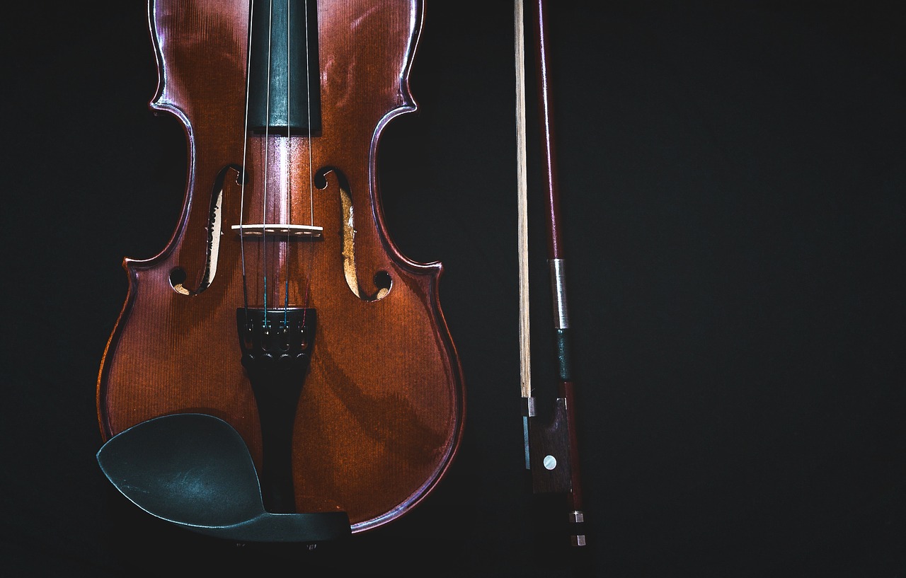 bowed-instrument-1853324_1280