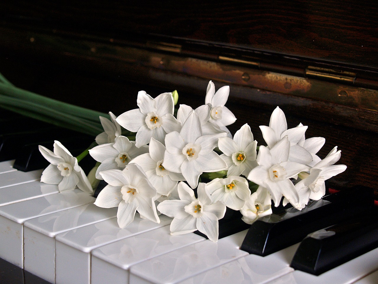 piano-1398069_1280