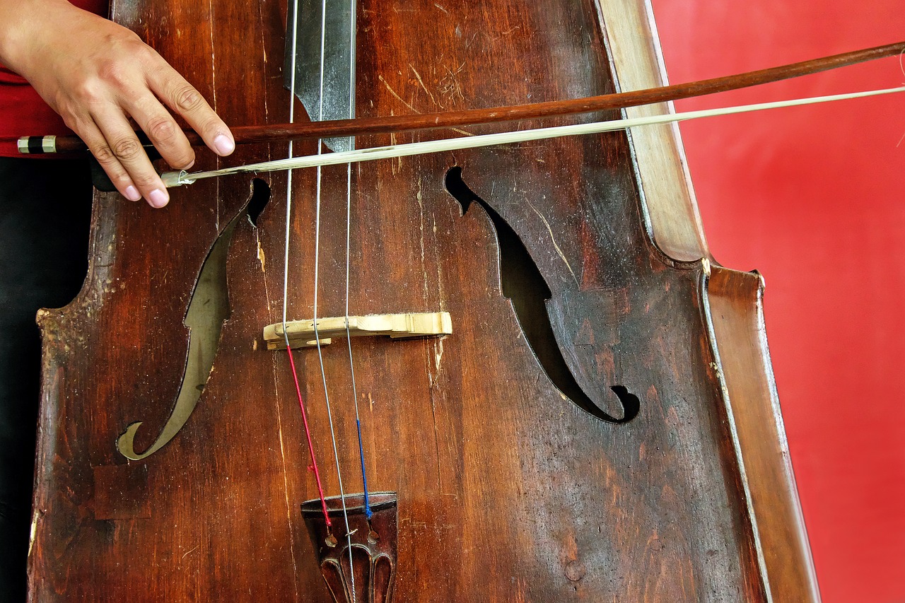 cello-1606337_1280