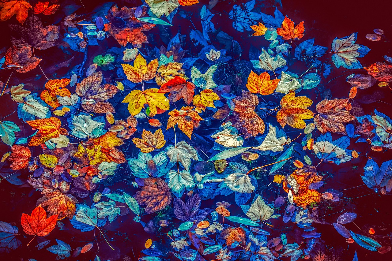 leaves-3744649_1280